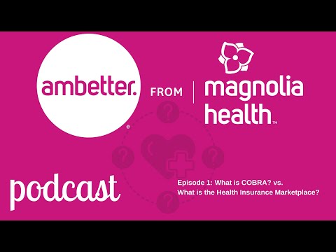 What is COBRA? What is the Health Insurance Marketplace? Podcast EPISODE 1