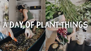 a day of plant things  plant shopping, orchid potting , notching philodendron and not so fun chores