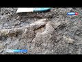 На севере Кировской области нашли скелет морского ящера юрского периода (ГТРК Вятка)