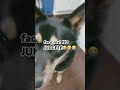 jk// #plssubscribe #funny