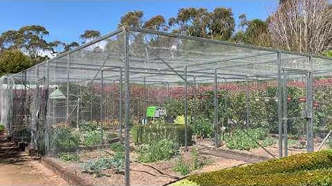 Vegetable Garden Enclosure - protecting your crop