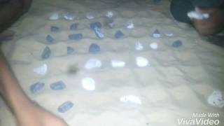 الخربقى بين. Wesa Vs Housien