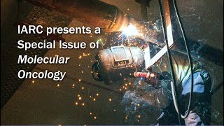 Dr Ann Olsson and the occupational cancer burden - the IARC Special Issue of Molecular Oncology