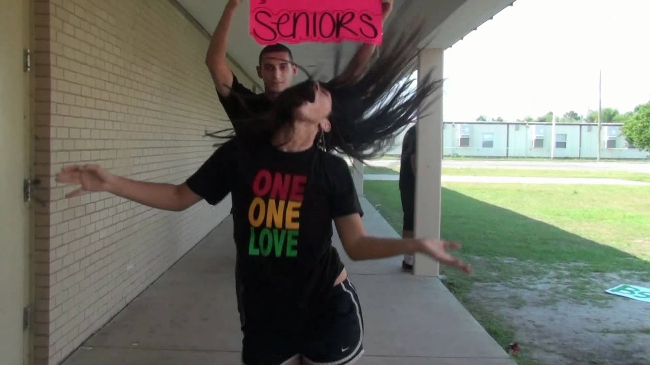 Bloomingdale HS 2011 Senior LipDub
