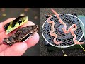 日本の毒ヘビ2種類を食べ比べる