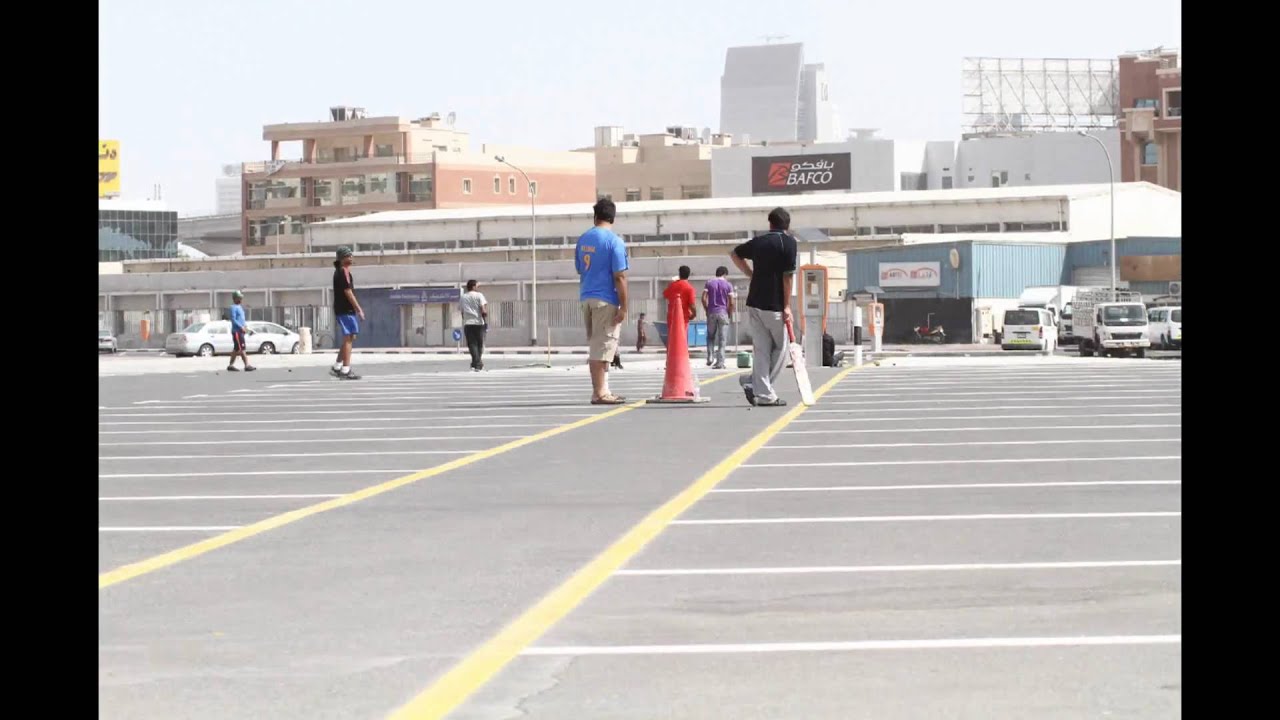 Cricket timelapse video