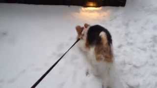 Margaux Sees Snow For The First Time