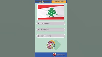 #16 Guess and Learn Flags of the World with @FlagFootage: waving flags in the wind #flagquiz