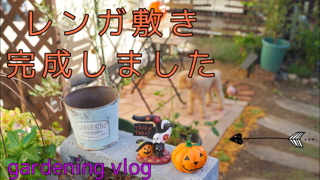 ガーデニングvlog ダイソーの支柱で薔薇のアーチを作る Youtube