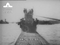 [German newsreel] (Ufa Nr 448)