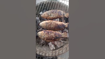 lên món cá rô nhà nuôi nướng muối ớt 😋😋😋