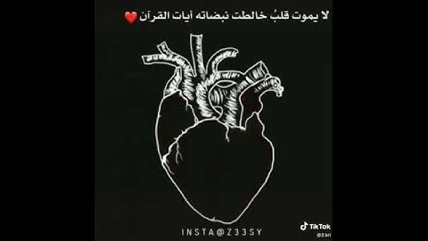 { فلا تطع المكذبين . ودوا لو تدهن فيدهنون}#سورة#القلم#