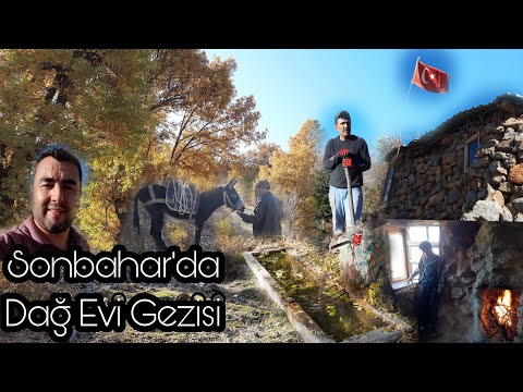 Köy'de Huzurlu Hayatın