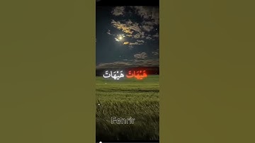 قران كريم بصوت جميل / انشرها فالدال على الخير كفاعله