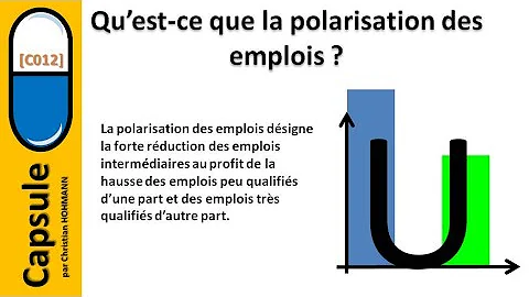 Quels sont les facteurs de la polarisation des emplois ?