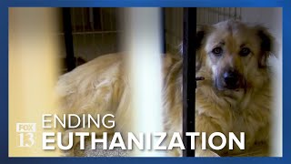 Utahns work toward ending euthanization of healthy shelter pets by 2025