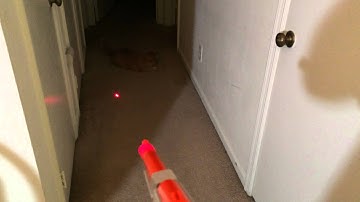 My Nintendo Zapper Gun Laser Pointer