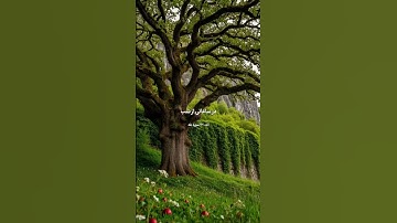 آیه ۱۳۰ سوره مبارکه طه 🟣 پیام و شرح 🔹 پیام اصلی آیه ✅ خداوند به