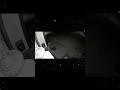 intrusos capturado por câmeras #casocriminal #horrorstory #terrors