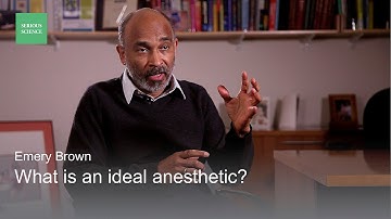 Controlling and Reanimating the Brain — Emery Brown / Serious Science