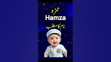 Hamza Name Meaning In Urdu | Hamza Naam Ka Matlab | #shorts #shortvideo #shortsfeed