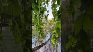 Download Lagu A Visit To The Albert Kahn Gardens Of The World MP3