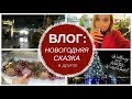 ВЛОГ: НОВОГОДНЯЯ СКАЗКА, ПОМАДЫ BOURJOIS, ЧИСТКА У КОСМЕТОЛОГА, ДЕТКИ [OSIA]