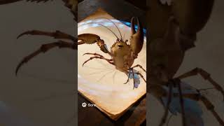 Wakey Wakey Mr Crabs Funniest Sora Ai Moments