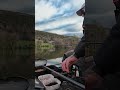 Absolutely EMPTYING IT!!! #fishing #fishingtechniques #outdoors #fish #bait #bream