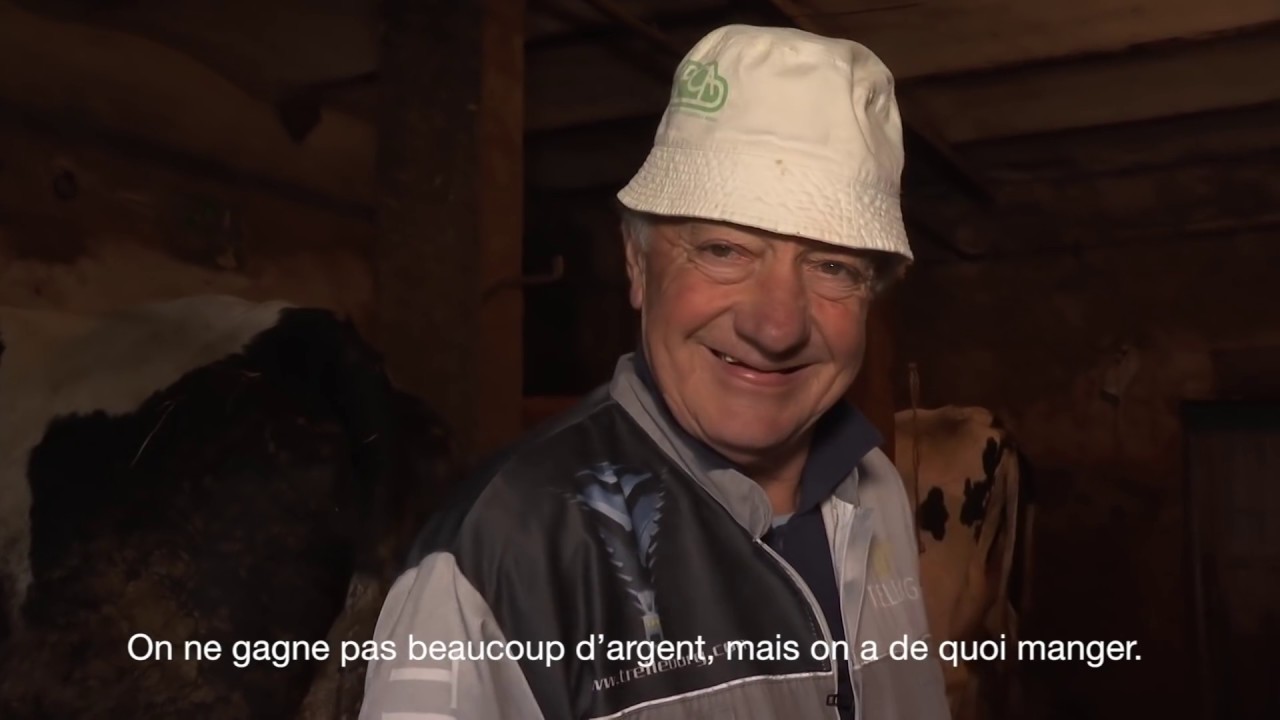 Parmesan, le fromage roi des montagnes italiennes