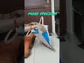 Groceries bag#digitalmahila#srilalithajutebags#shopping#smallbags#dailyritualsday60#strong