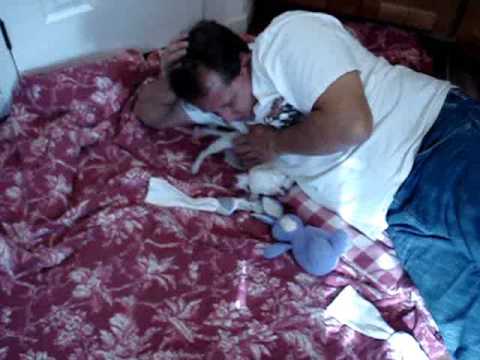 Chihuahua puppies for sale in oregon- Sunnys boy - 541-459-5951 puppy paradise