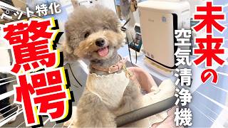 【驚愕】インターペット大阪206で大人気🐶これが未来の空気清浄機です。ペットに特化したLevoit Vital Pet Pro💓