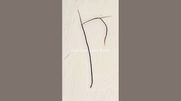 Extreme Split Ends Volume 2