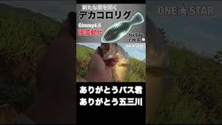 デカコロリグ+ギミー4.5で40クラス♪  マグナムブレディを真似て作りました★ZAPPU製品ではありません。リグの詳細は関連動画をご覧ください。　五三川って楽しいフィールドですね♪