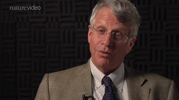 Splitting Sclerosis: by Nature Video