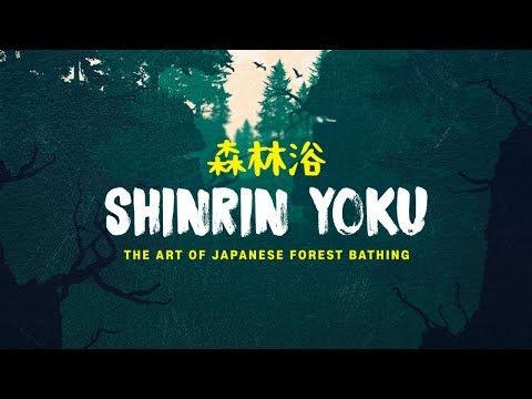 Video: Shinrin-yoku: Die Japannese Metode Om Stres Te Verlig