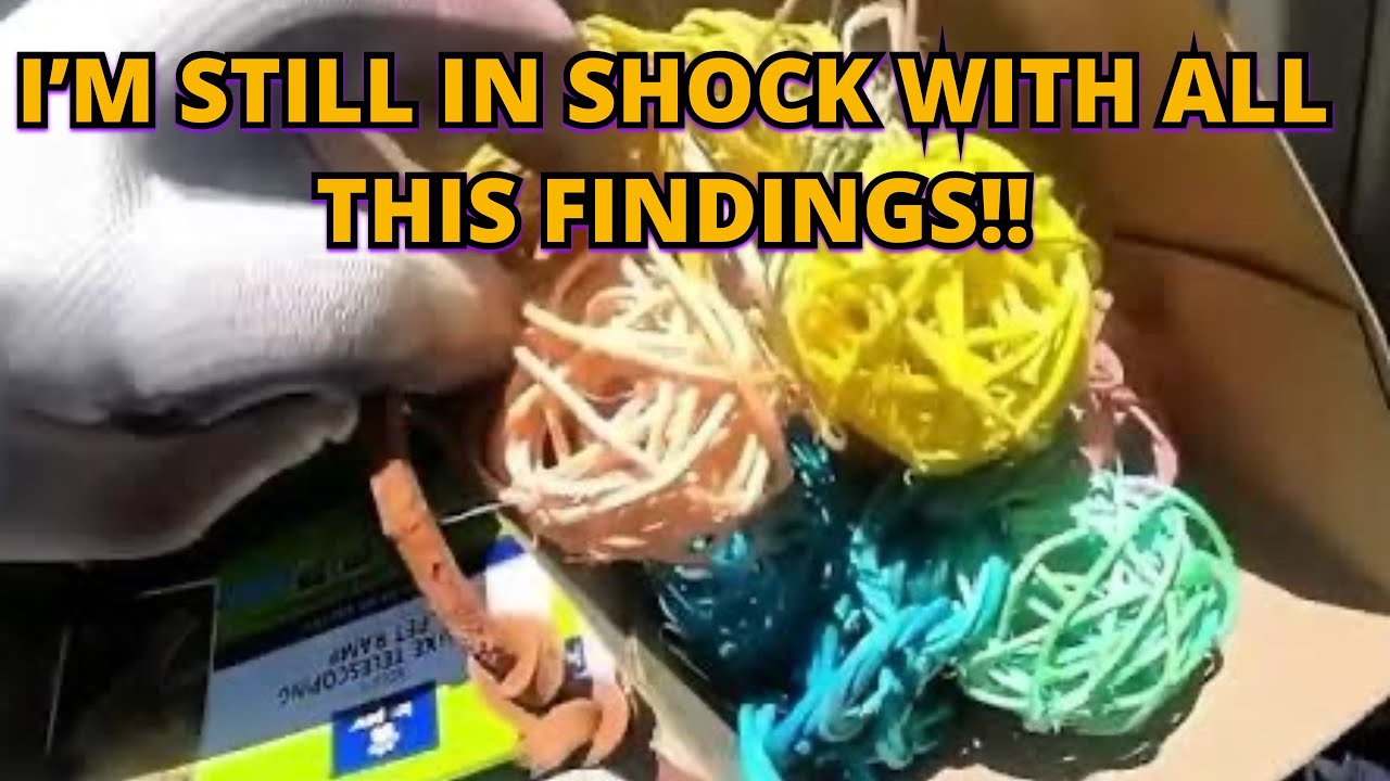 Поиски в мусорном контейнере — я до сих пор в шоке от всех этих находок. Супер добыча!!