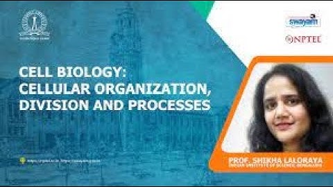 Cell Biology Cellular Organization Division and Processes | Week 1 Quiz | Assignment 1 Sol | NPTEL