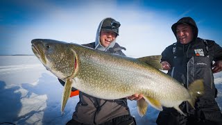 Giant Lake Trout Of The North (My Biggest Through The Ice)