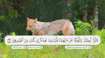 سورة الاحقاف ترتيل هادئ لاتوصف بصوت القارئ عبدالرحمن امين الجباري