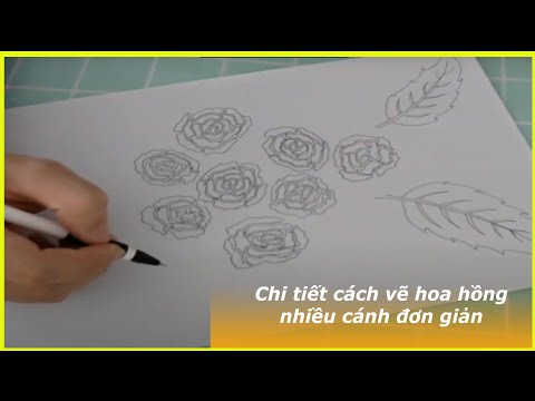 Video Chi tiết cách vẽ hoa hồng nhiều cánh đơn giản - youtube