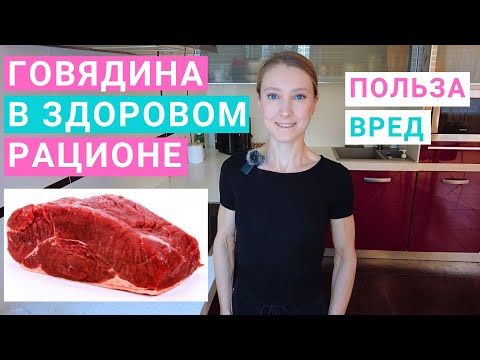 Говядина в здоровом рационе: польза и вред. Какая говядина лучше? Рецепты из говядины для здоровья.