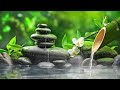 Musique de mditation et relaxation la musique de sommeil relaxante les sons de la nature et les s