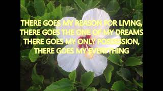 THERE GOES MY EVERYTHING (WITH LYRICS) A SONG FROM 1963 - WRITTEN BY DALLAS FRAZIER
