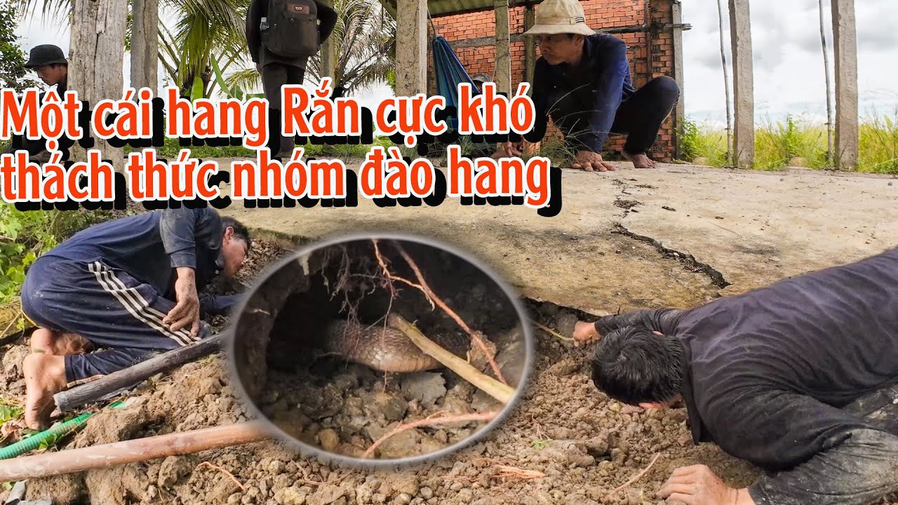 60p đối đầu với con Rắn ở hang khó nhất lịch sử | TGSB #962