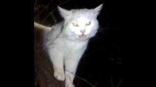 VID 20160928 184409