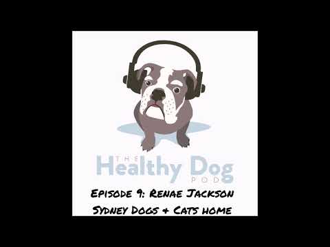 Episode 9: Renae Jackson of Sydney Dogs & Cats Home