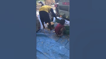 Smart Machine Idea for Separating Corn Kernels#shorts