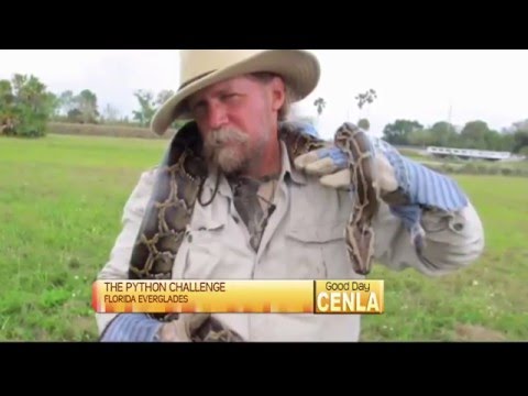 The Python Challenge